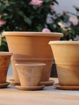 Mini krukor Orangeri