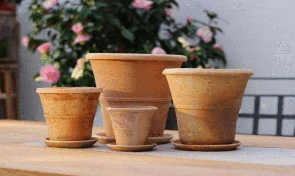 Mini krukor Orangeri