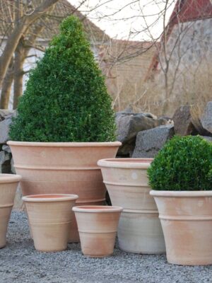 Terrakottakruka Orangeri