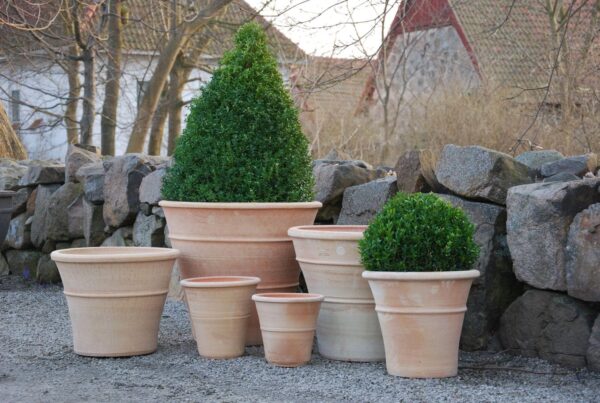 Terrakottakruka Orangeri