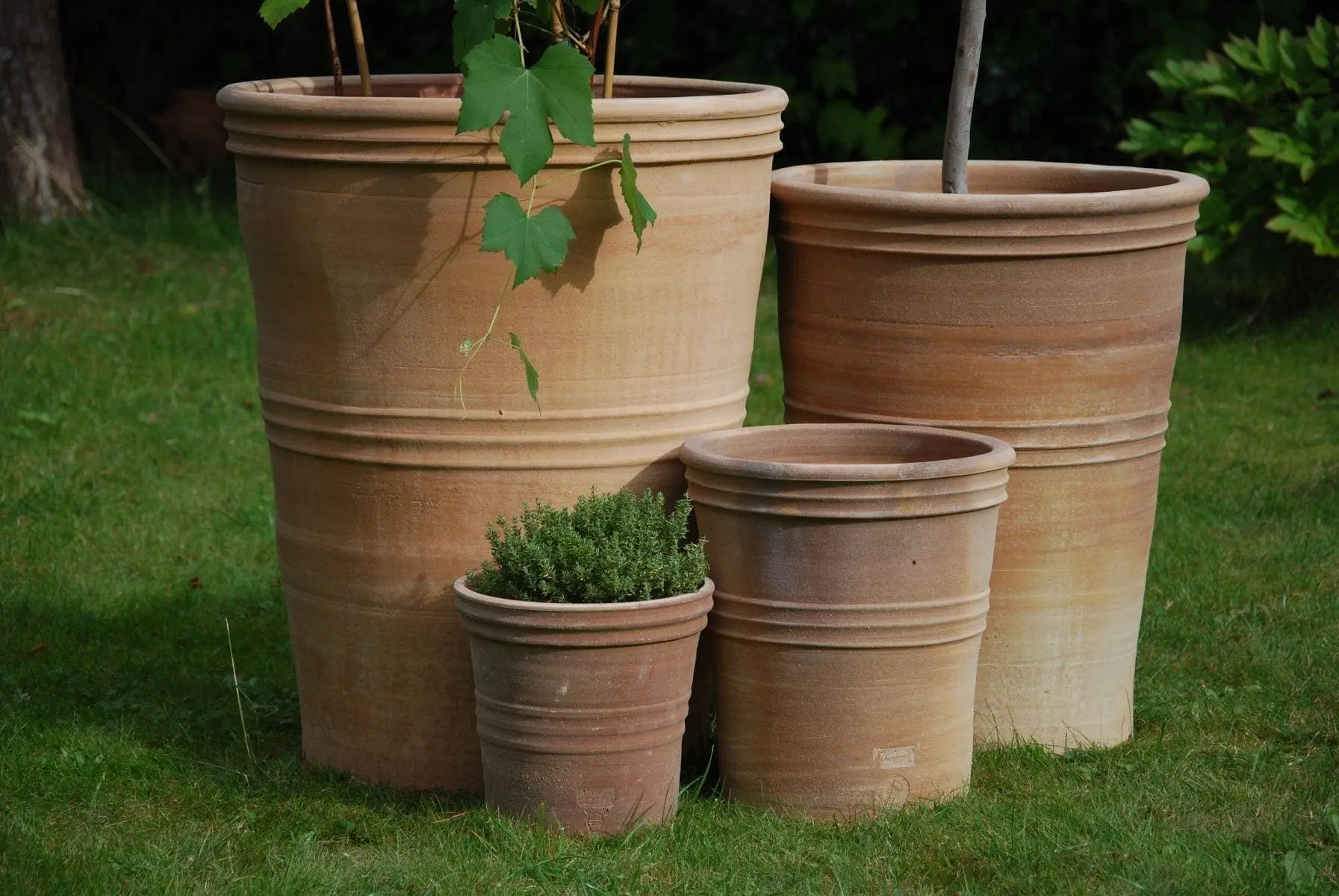 Bild på astra-krukor